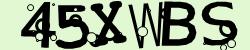 Retype the CAPTCHA code from the image