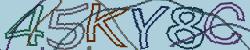 Retype the CAPTCHA code from the image