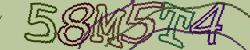 Retype the CAPTCHA code from the image