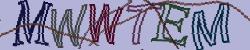 Retype the CAPTCHA code from the image