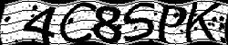 Retype the CAPTCHA code from the image