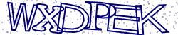 Retype the CAPTCHA code from the image