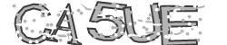 Retype the CAPTCHA code from the image