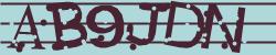 Retype the CAPTCHA code from the image