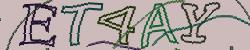 Retype the CAPTCHA code from the image