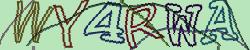 Retype the CAPTCHA code from the image