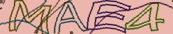 Retype the CAPTCHA code from the image