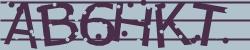 Retype the CAPTCHA code from the image