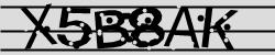 Retype the CAPTCHA code from the image