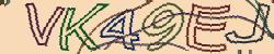 Retype the CAPTCHA code from the image