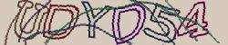 Retype the CAPTCHA code from the image
