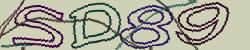 Retype the CAPTCHA code from the image