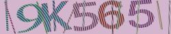 Retype the CAPTCHA code from the image