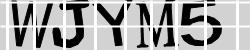 Retype the CAPTCHA code from the image