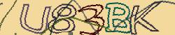 Retype the CAPTCHA code from the image