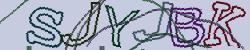 Retype the CAPTCHA code from the image
