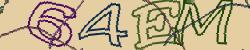 Retype the CAPTCHA code from the image