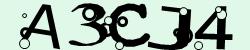 Retype the CAPTCHA code from the image