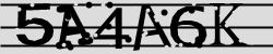 Retype the CAPTCHA code from the image