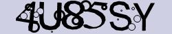 Retype the CAPTCHA code from the image