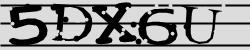 Retype the CAPTCHA code from the image