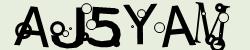 Retype the CAPTCHA code from the image