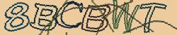 Retype the CAPTCHA code from the image