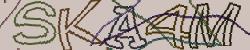 Retype the CAPTCHA code from the image