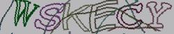Retype the CAPTCHA code from the image