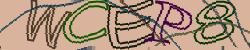 Retype the CAPTCHA code from the image