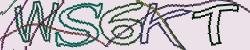 Retype the CAPTCHA code from the image