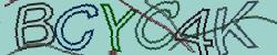 Retype the CAPTCHA code from the image