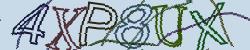 Retype the CAPTCHA code from the image
