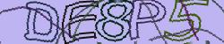 Retype the CAPTCHA code from the image