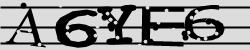 Retype the CAPTCHA code from the image