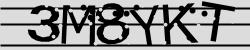 Retype the CAPTCHA code from the image