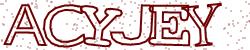 Retype the CAPTCHA code from the image