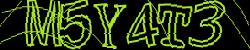 Retype the CAPTCHA code from the image