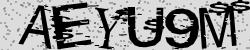 Retype the CAPTCHA code from the image