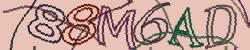 Retype the CAPTCHA code from the image