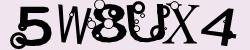 Retype the CAPTCHA code from the image