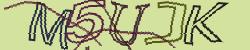 Retype the CAPTCHA code from the image