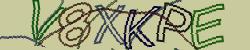 Retype the CAPTCHA code from the image