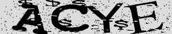 Retype the CAPTCHA code from the image