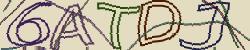 Retype the CAPTCHA code from the image