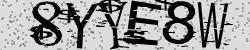 Retype the CAPTCHA code from the image