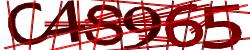 Retype the CAPTCHA code from the image