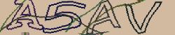Retype the CAPTCHA code from the image