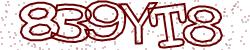 Retype the CAPTCHA code from the image