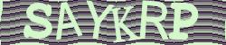 Retype the CAPTCHA code from the image